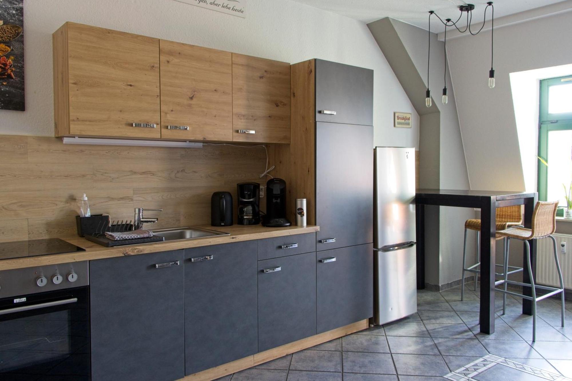 Neustadt-Aussicht - Grosse Wohnung Mit Balkon Dresda Exterior foto