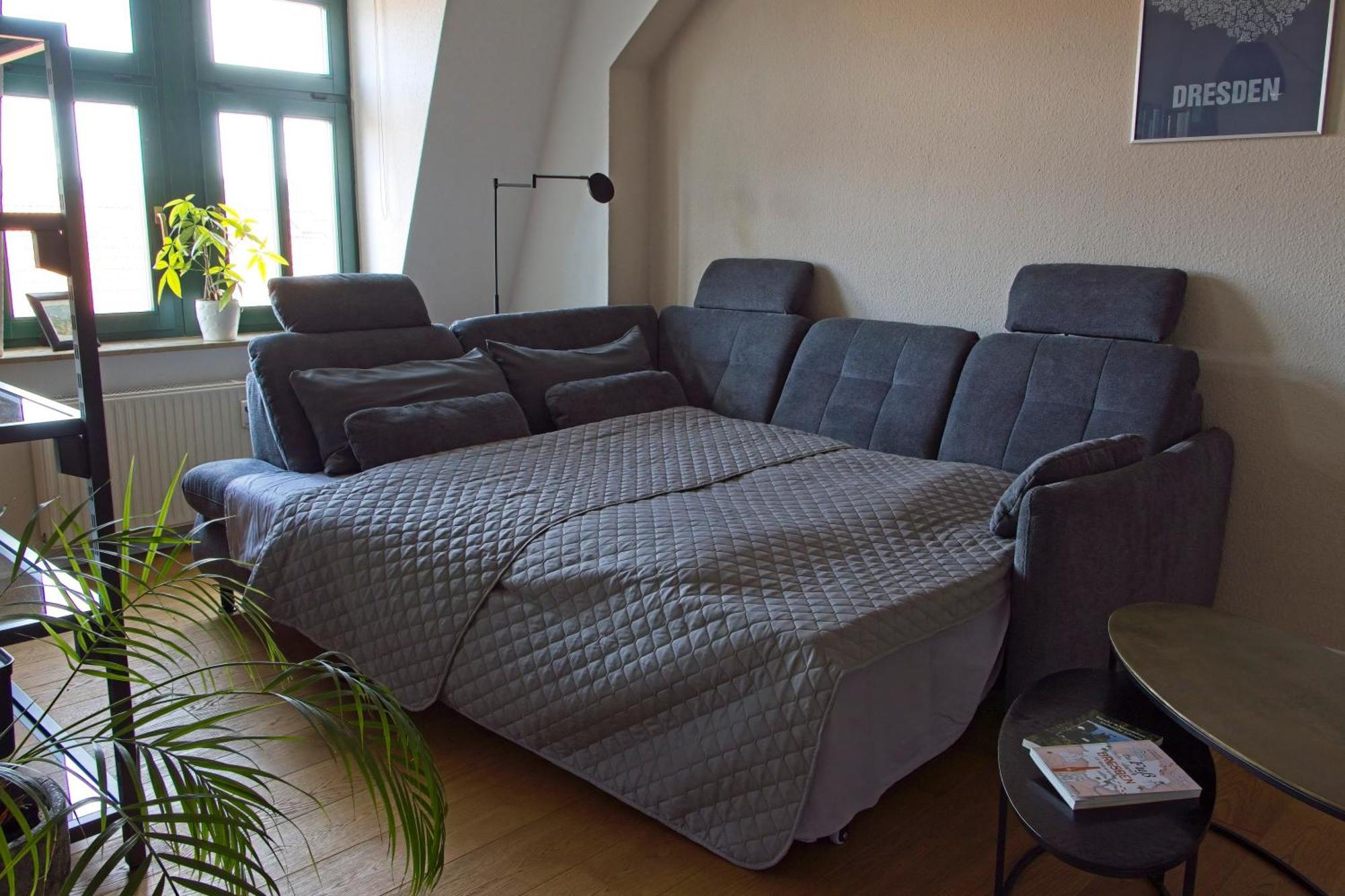 Neustadt-Aussicht - Grosse Wohnung Mit Balkon Dresda Exterior foto